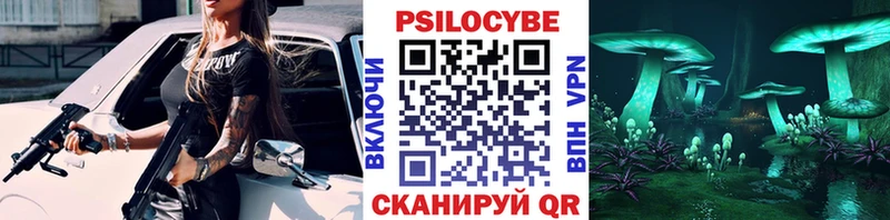 Псилоцибиновые грибы Psilocybine cubensis  Купить где  Щучье 